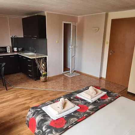 Πανσιόν Sineva