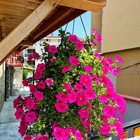 Sineva Guest house Ravda