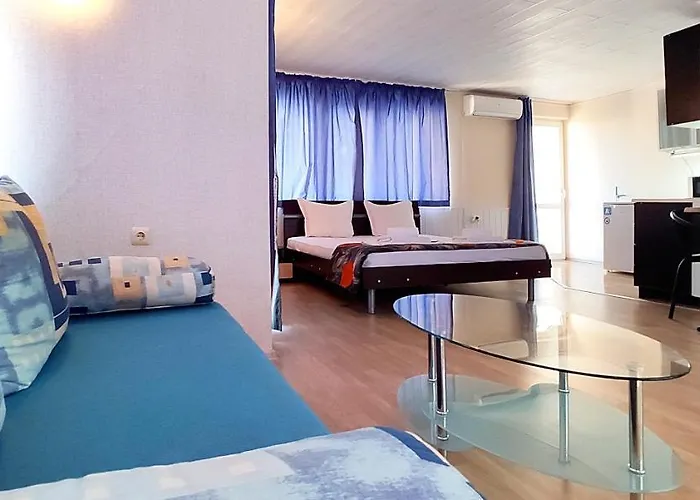 Guest house Sineva 3*