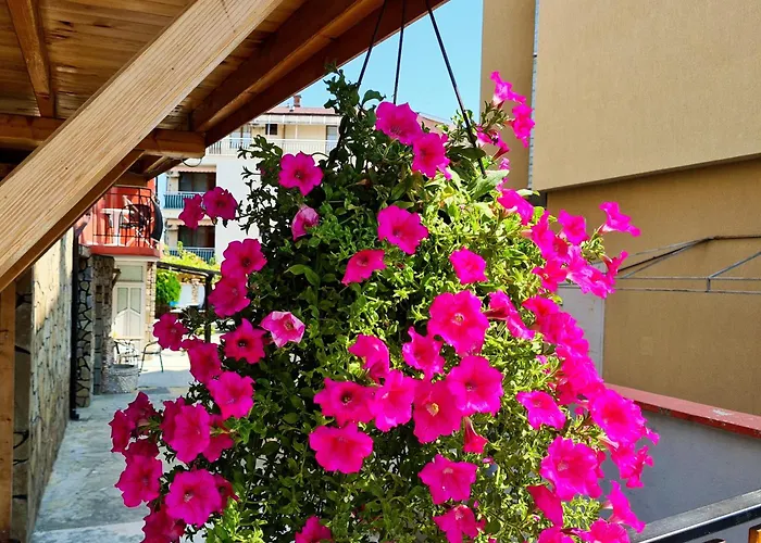 Sineva Pensionat Ravda